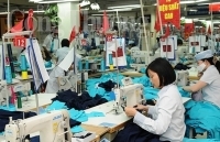 Bộ Công Thương hỗ trợ doanh nghiệp xuất khẩu vượt hàng rào phi thuế quan