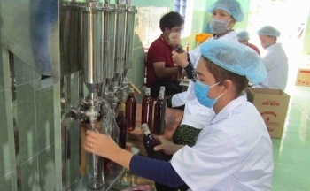 Bình Định: 100% cơ sở có nhu cầu được hỗ trợ phát triển sản phẩm công nghiệp nông thôn tiêu biểu