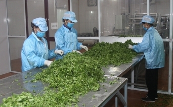 Chương trình khuyến công quốc gia: Đẩy nhanh tiến độ, thích ứng với diễn biến của dịch bệnh