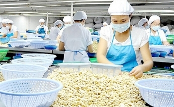 Bình Phước: Tiếp tục triển khai hiệu quả đề án khuyến công quốc gia điểm