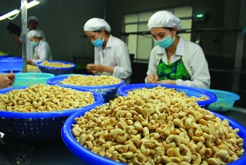 Phiên tư vấn xuất khẩu sang thị trường Lào và Thái Lan