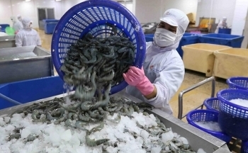 Cung cấp thông tin thị trường Algeria cho doanh nghiệp