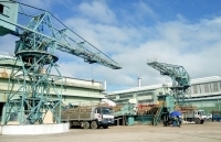 Cơ hội và bước tiến mới trong phát triển năng lượng tái tạo tại Việt Nam