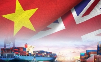 Nhìn lại một năm thực thi UKVFTA