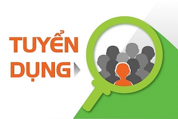 Tổng công ty Điện lực miền Trung thông báo tuyển dụng 70 lao động