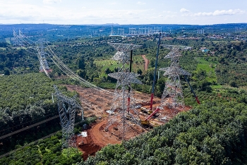 PTC3 hỗ trợ kỹ thuật đấu nối lưới điện cho nhà máy điện gió lớn nhất Việt Nam