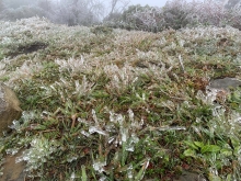 Lạng Sơn: Nhiệt độ dưới 0 độ C, băng tuyết phủ đầy trên đỉnh Mẫu Sơn