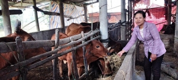 Vùng đồng bào dân tộc thiểu số “thay da đổi thịt” nhờ nguồn vốn tín dụng chính sách
