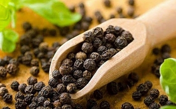 Giá tiêu hôm nay 4/4: Đi ngang, kỳ vọng lực tăng mới trong tháng 4