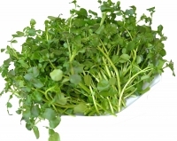 Một số thực phẩm giàu i-ốt