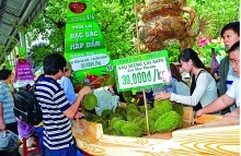 Quality Vietnamese products lack branding and trademark protection
