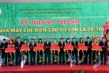 Rubber latex processing plant inaugurated in Son La