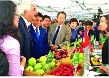 MoIT helps expand farm produce exports