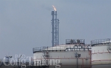 Petrol imports to be reduced this year