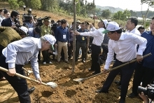 Party, State leader launches Tet tree planting festival in Yen Bai