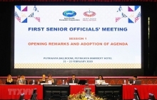Vietnam attends APEC SOM 1 in Malaysia