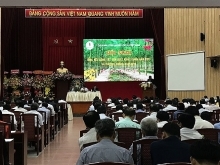 Vietnam Rubber Group eyes higher profits