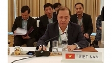 Vietnam attends ASEAN Joint Consultative Meeting in Singapore