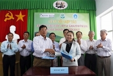 Vinh Long works to increase mango export to US