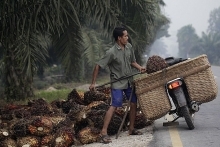 Indonesia threatens to ban some European goods