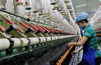 Hà Nội: 3 kịch bản xuất khẩu năm 2020