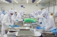 CPTPP:  Rộng đường cho doanh nghiệp xuất khẩu