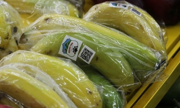 Vietnamese agriculture giant enjoys a highly fruitful year