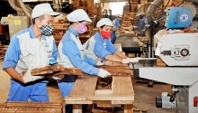 Exports of wood and wood products rise 15.6 percent in first quarter