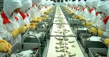 31 Vietnamese shrimp exporters free from US antidumping duties