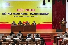 No capital shortages for prioritised sectors: Central bank
