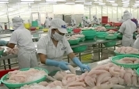 Bứt phá xuất khẩu - dễ hay khó?