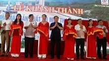 Major wood processing factory opened in Ha Tinh province