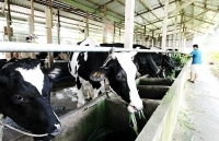 TP. Hồ Chí Minh sau 44 năm giải phóng: Nông thôn khoác áo mới