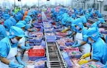 Vietnam invests in 190 projects in Cambodia