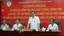 Vietnam Rubber Group urged to aim for US$10 billion revenues
