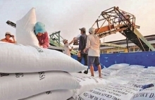 Vietnamese PM allows resumption of rice export