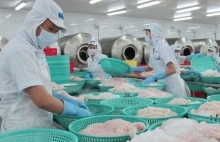 US reduces import duties on Vietnamese tra and basa fish