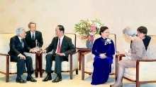 Vietnam treasures ties with Japan: President