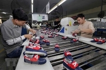 CPTPP smooths path to Canadian market for Vietnamese goods