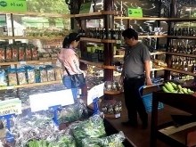 Vietnamese firms to introduce products at South African supermarkets