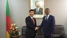 Vietnam hopes for stronger cooperation with Cameroon