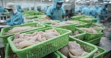 Tra fish shipments to US, China fall