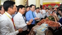 Forum promotes consumption of Bac Giang lychees