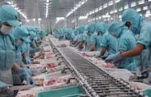 Seafood export value down 10 percent in first four months