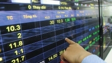 Vietnam’s 50 best-performing listed firms account for 70 percent of market cap