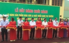 Son La mangoes exported to demanding markets