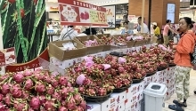 Vietnamese products seek to increase presence in Japanese market
