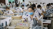Vietnam, India boost cooperation in apparel industry