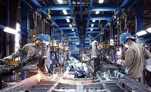 Industrial production gains stable growth in seven months