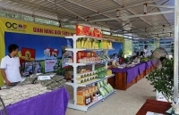 Hà Nội:  Thúc đẩy Chương trình 